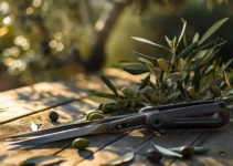 Tijeras de podar olivos eléctricas y su eficacia en jardinería