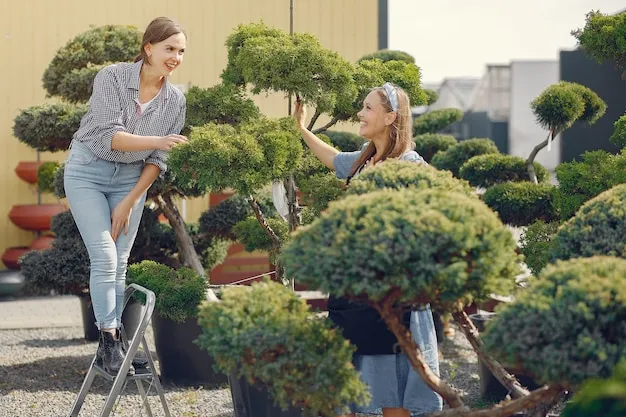 árboles pequeños para jardín que maximizan tu espacio exterior