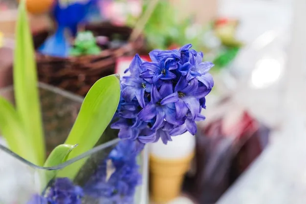 delphinium azul