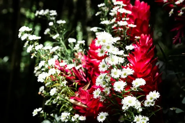 lobelia cardinalis, características y cuidados esenciales