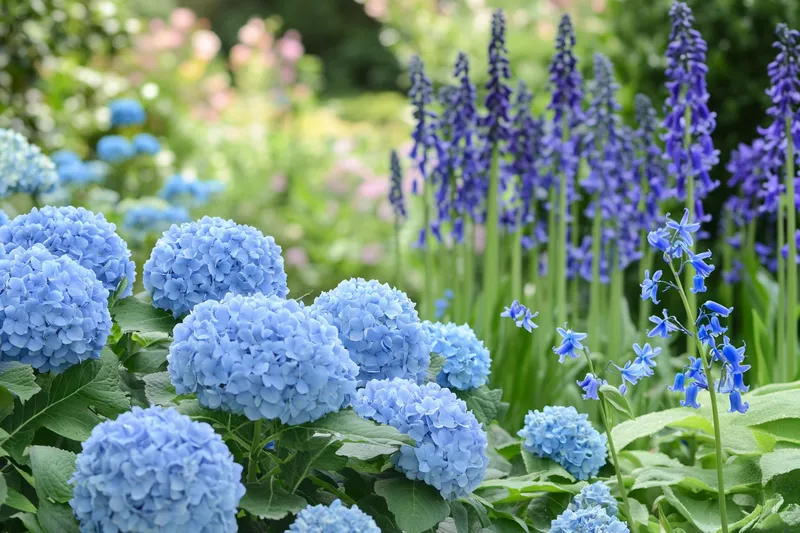 plantas con flores azules para embellecer tu jardín