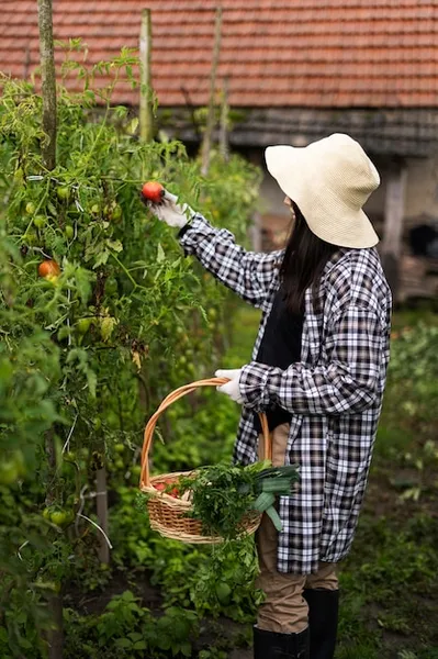 tipos arboles frutales